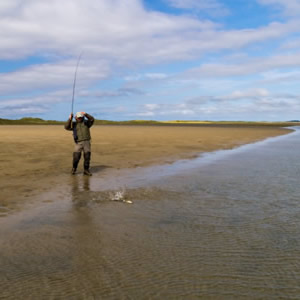 Playing a trout from the sand at low water. July  2013.